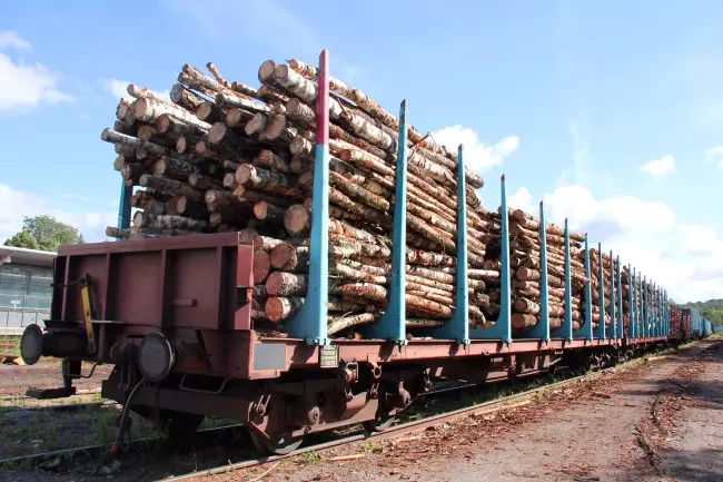 Особенности перевозки леса и лесоматериалов железнодорожным транспортом